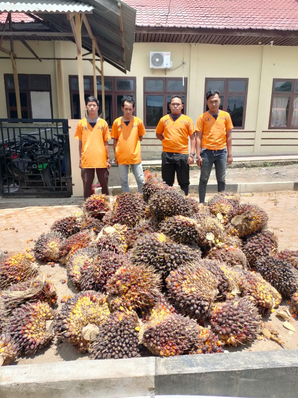 Tiga Satpam dan Seorang Buruh Curi TBS Ditempat Kerjanya