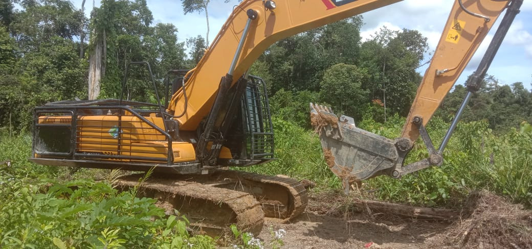 Sudah ada Saling Lapor ke pada Penegak Hukum Masih Berani Bukak Kebun di Hutan Lindung