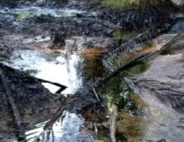 Masih Banyak Lahan Tercemar Limbah B3 CPI 