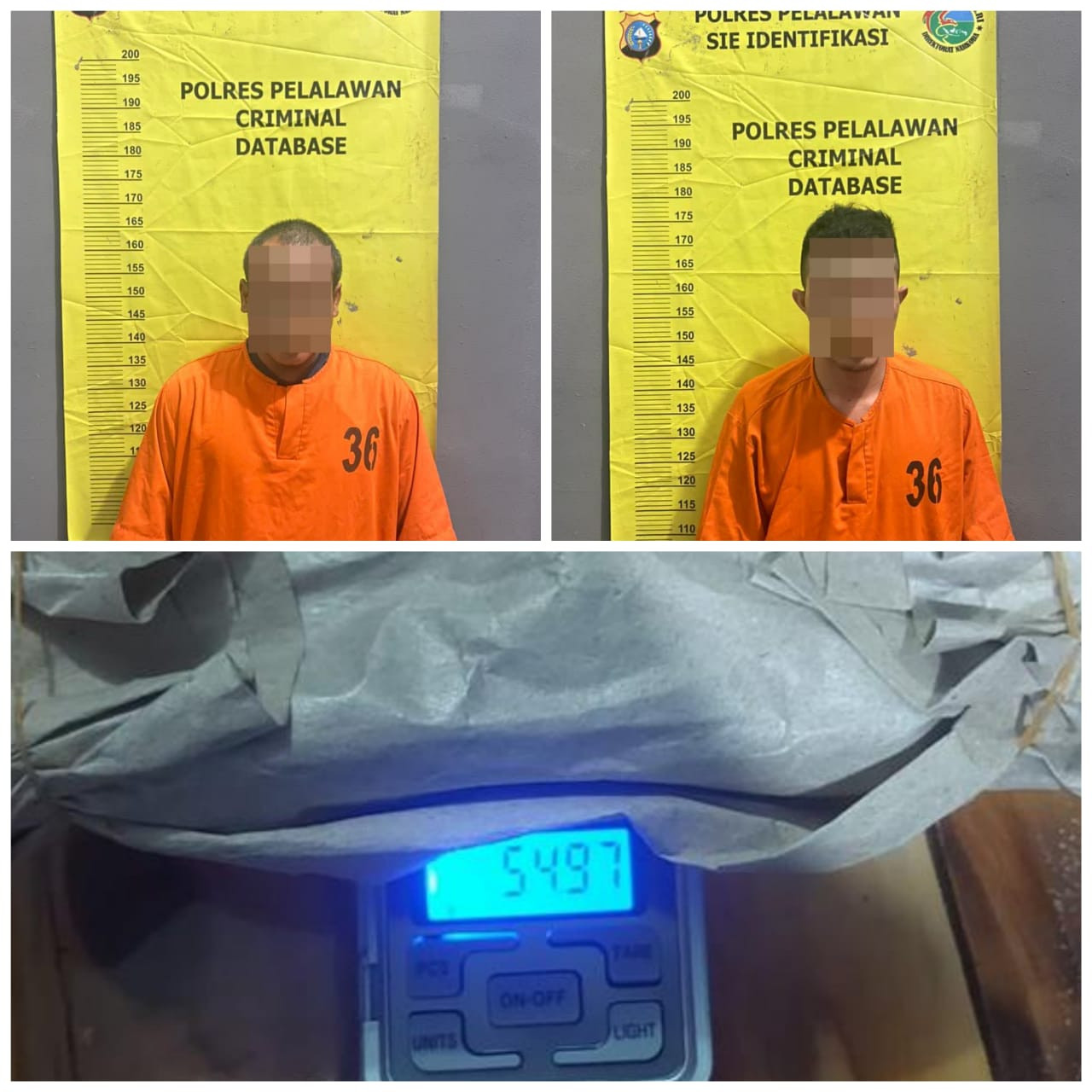 Bandar Narkoba Dan Kaki Ditangkap Polisi Di Ukui