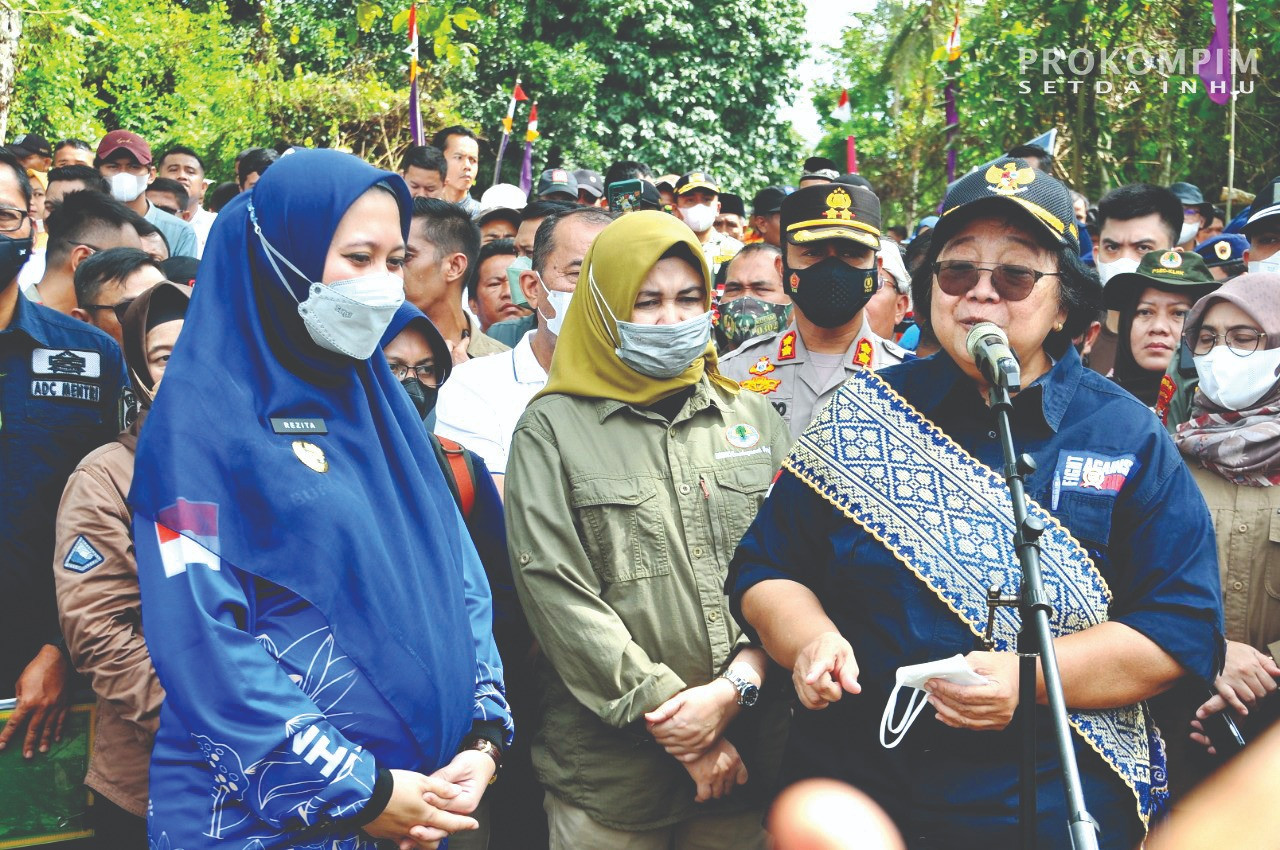 Aktor Intelektual Belum Tersentuh  Perambahan Kawasan TNBT di Inhu Tuai Perhatian Menteri LHK