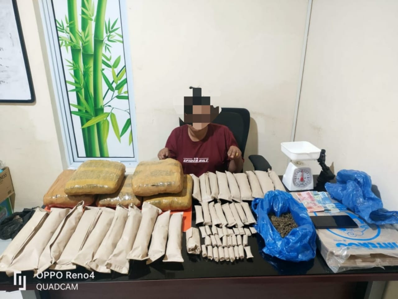 Wanita Muda diTangkap Satres Narkoba Polres Kampar, Memiliki Daun Ganja Kering 6,5 kilo