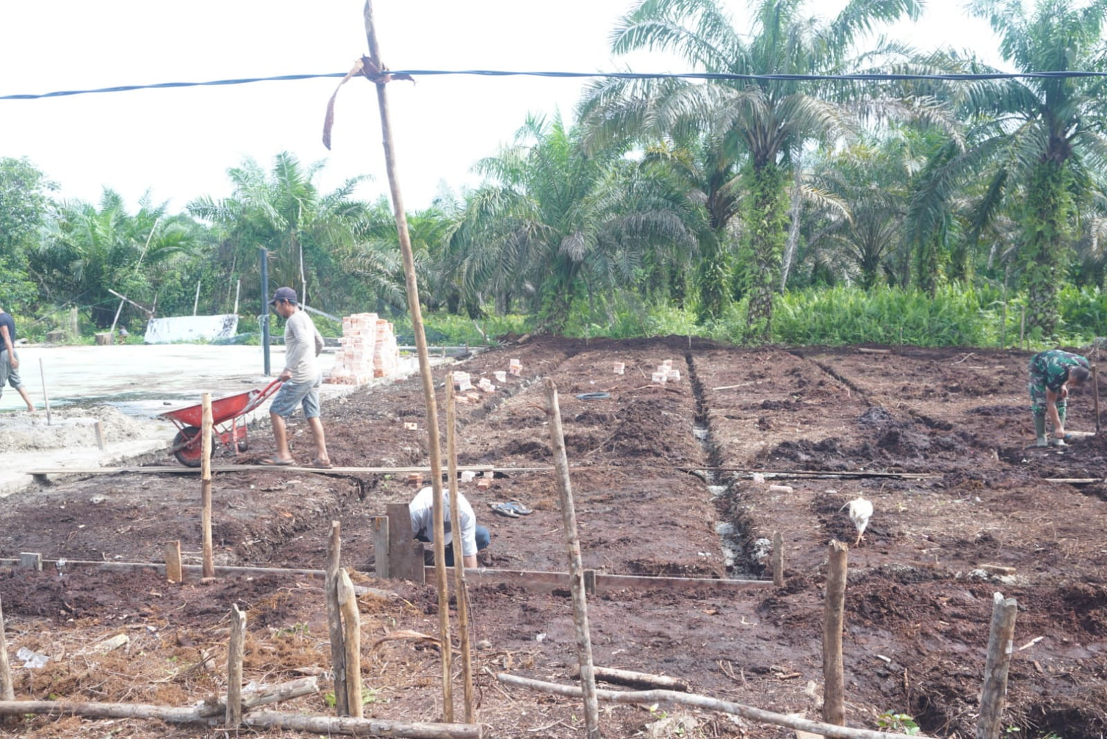 Berada Dilahan Gambut, Satgas TMMD Ke - 115 Kodim 0313/KPR Bangun Lapangan Volley