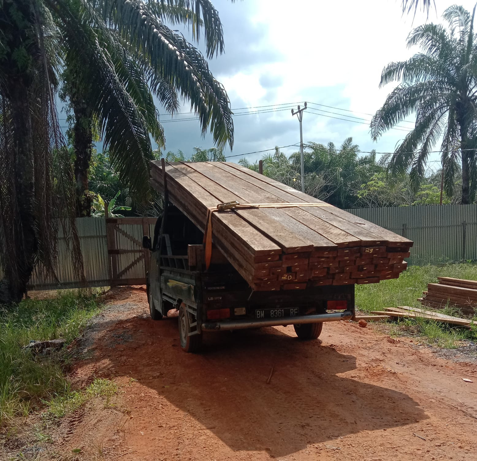 APH Dumai Diharap Bertindak Tegas Terkait Ilegal Logging di Sungai Sembilan