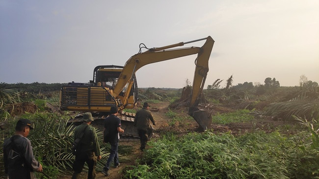 Pakar Lingkungan Nilai Izin Kehutanan Lemah