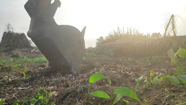 Kejari Pelalawan Ungkap Alasan Melanjutkan Eksekusi Lahan Desa Gondai