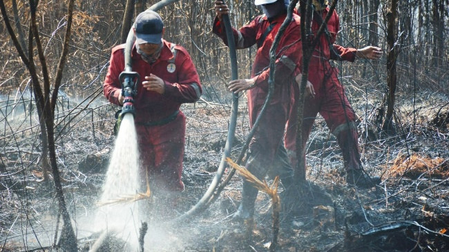 Menunggu Penyerahan Tersangka Korporasi Pembakar Lahan di Siak
