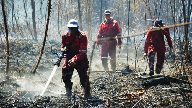Pemprov Riau Gelar Apel Pasukan Hadapi Kebakaran Lahan