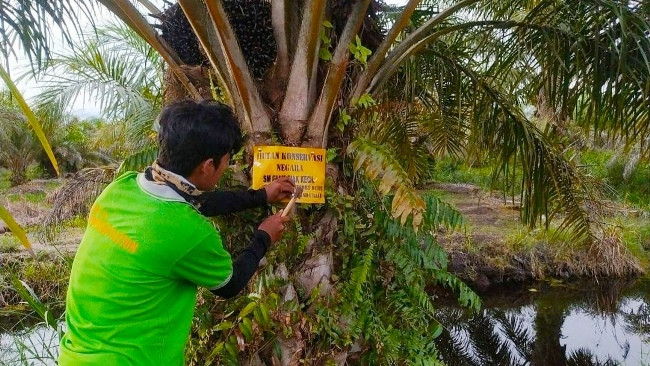 BBKSDA Temukan Pondok Perambah Suaka Margasatwa Giam Siak Kecil
