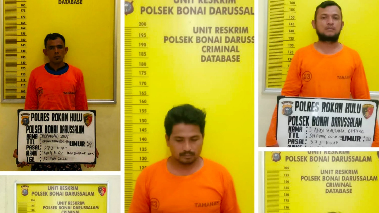 Lima Ninja Sawit Digelandang ke Polsek Bonai Darussalam