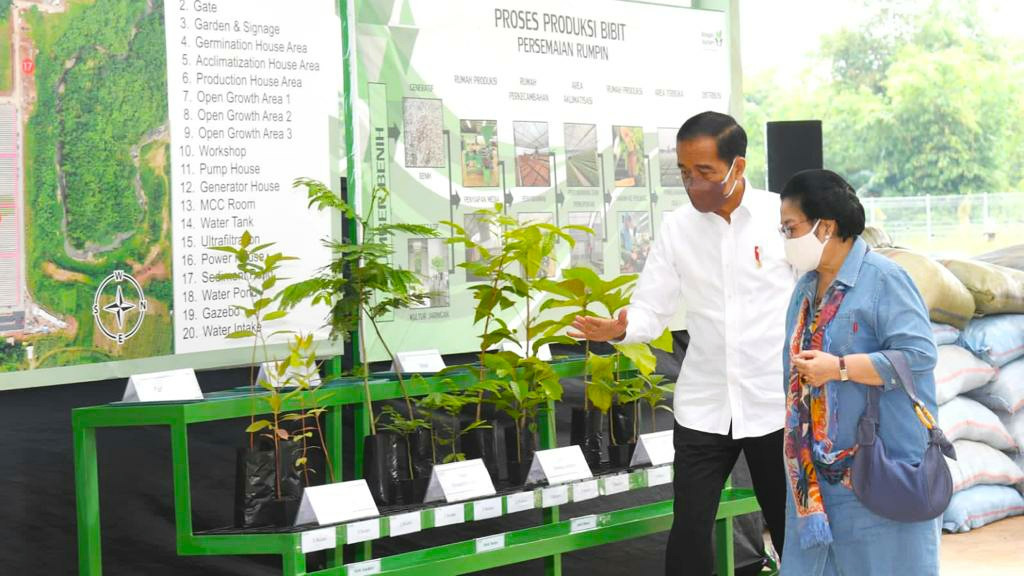 Rehabilitasi Lahan Kritis Dimulai dari Pembangunan Persemaian