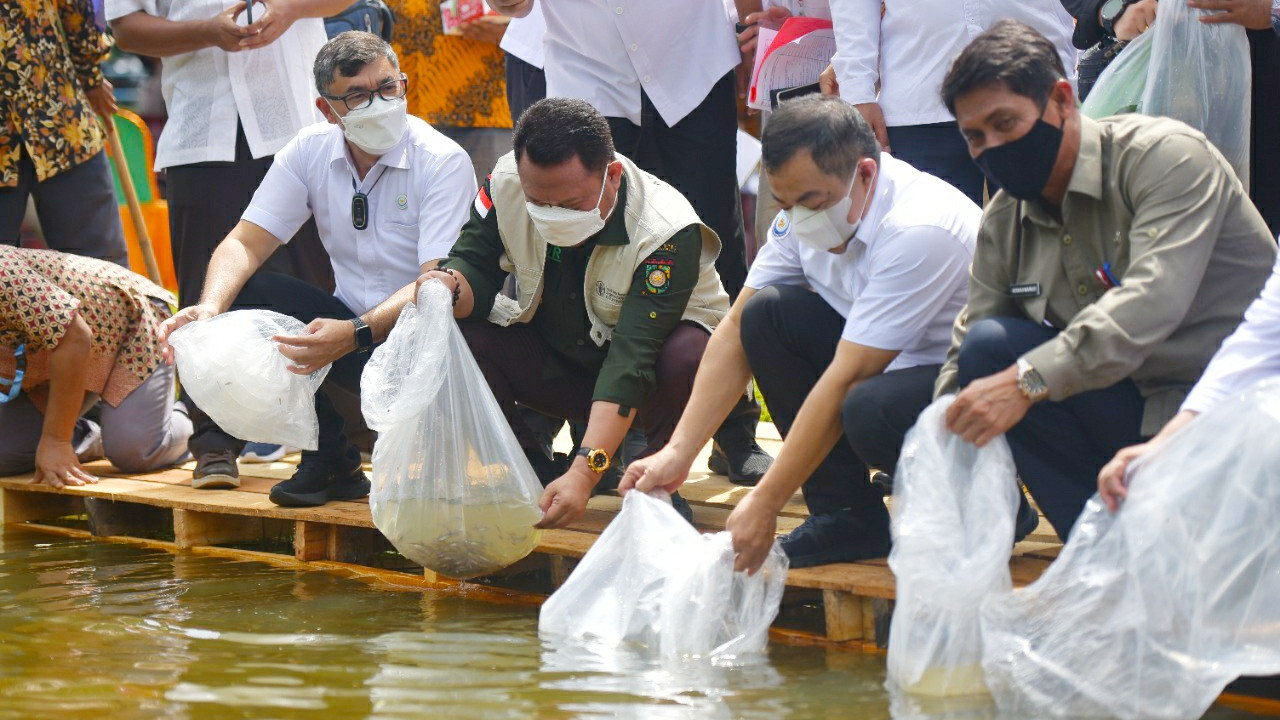 Bupati Catur Tabur Ribuan Bibit Ikan di Lubuk Larangan Kuok