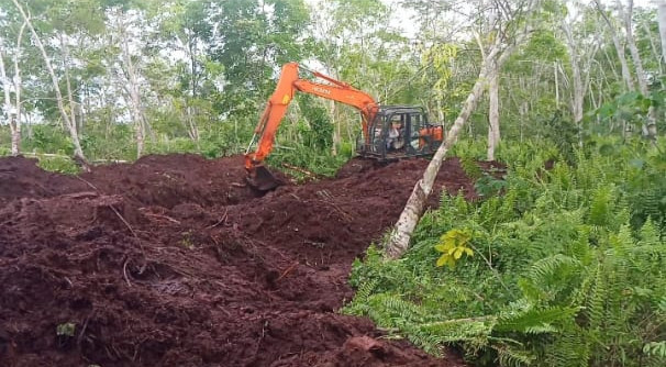 Diduga PT Arara Abadi Serobot Lahan Milik  Masyarakat Koto Ringin 