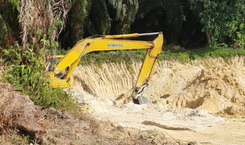 Tambang "Emas Putih" Bolis Manurung dan Naukup Manulang di Desa Belimbing 
