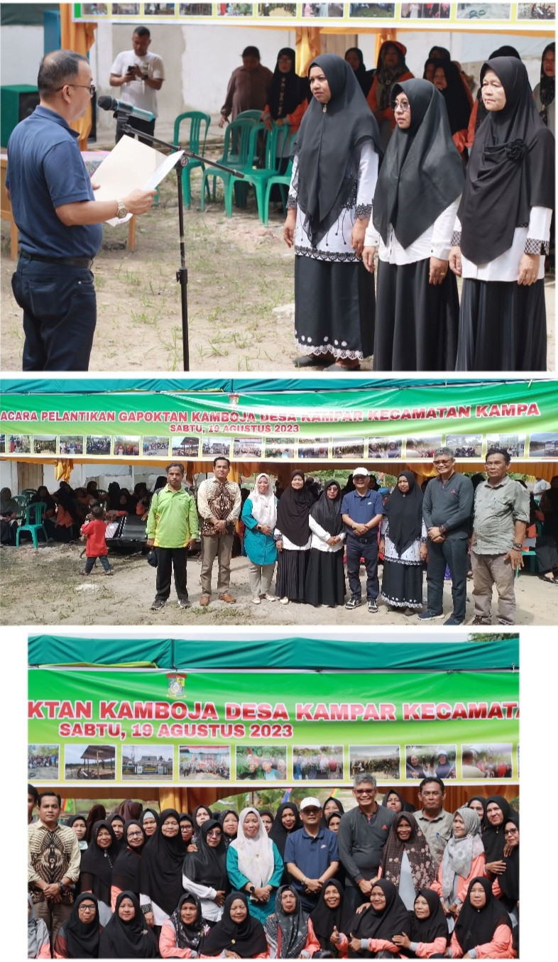 382 Orang Anggota Gapoktan Kamboja Desa Kampar, di Kukuhkan Oleh Pj Bupati Kampar 