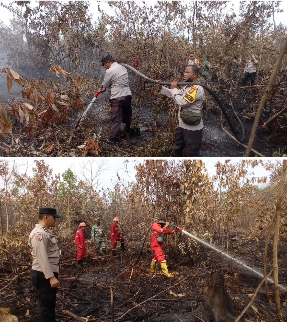 Agar Tidak Muncul Titik Api Lagi,  Polsek Tambang Laksanakan Giat Pendinginan Bekas Kebakaran Lahan 