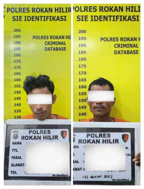 Dua Perambah Hutan, Dua Unit Excavator Diamankan Reskrim Tipiter Polres Rohil