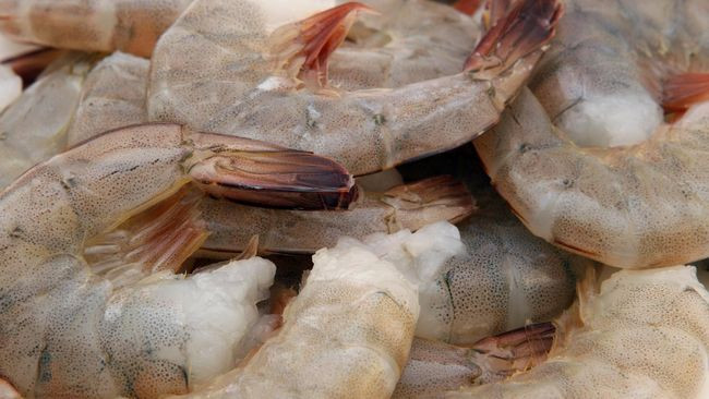 KKP Butuh Rp365 T Kejar Produksi 2 Juta Ton Udang